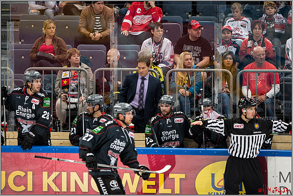 Koelner Haie - Krefeld Pinguine , 23.09.16(KW38)